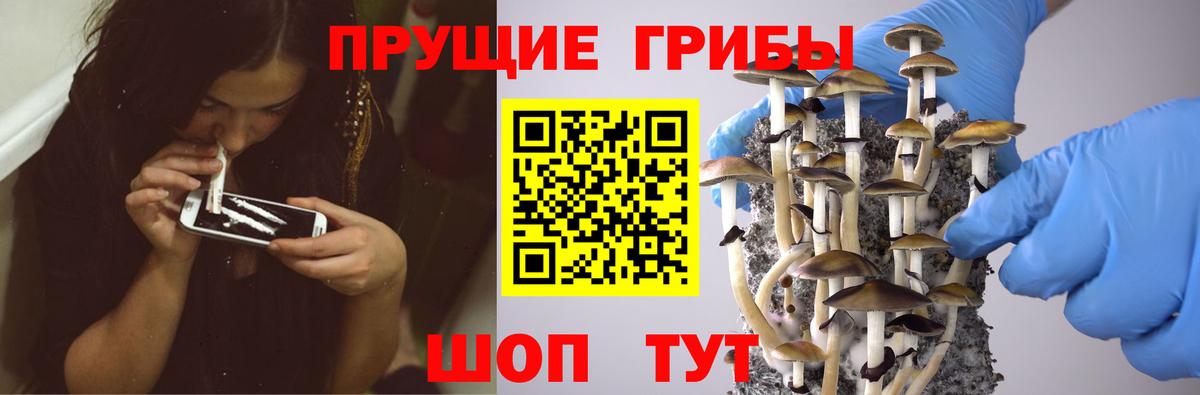 Кропоткин  Псилоцибиновые грибы мухоморы  даркнет сайт  Вход с VPN  Псилоцибиновые грибы мицелий 